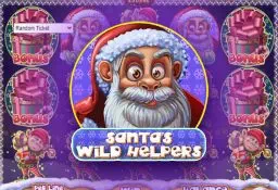 Santa Wild Helpers